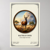 Bactrian-Hirsch-Zoologie-Serie Poster (Vorne)