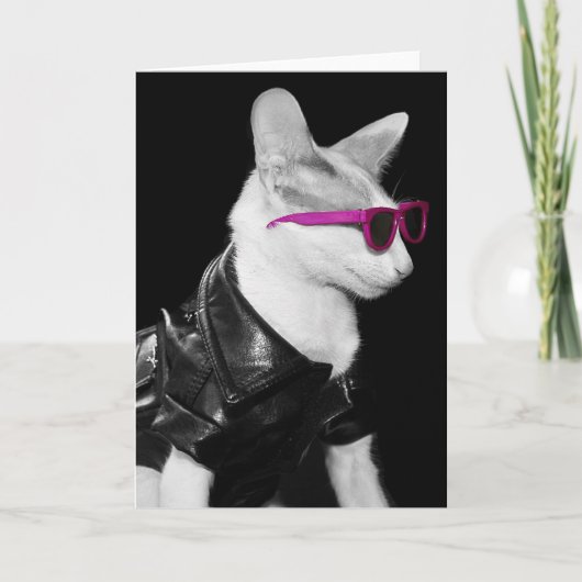 Bad Boy Cat in Shades Karte (Vorderseite)