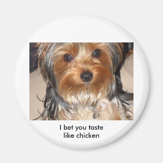 Bad Dog Magnet (Vorne)