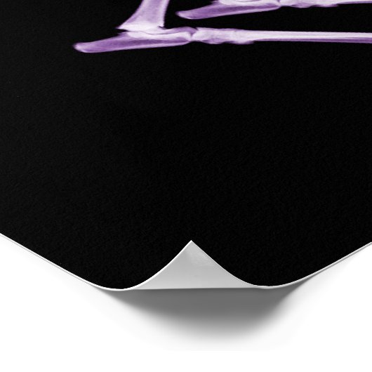 Bad Dog Xray Skeleton Black Lila Poster (Ecke)