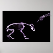 Bad Dog Xray Skeleton Black Lila Poster (Vorne)