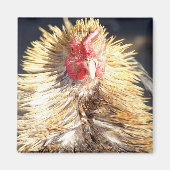 Bad Feather Day Magnet (Vorne)