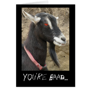 Bad Goat Liebe You