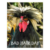 Bad Hair Day Chicken Meme Fotodruck (Vorne)