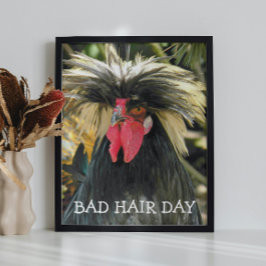 Bad Hair Day Chicken Meme Fotodruck