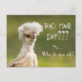 Bad Hair Day Chicken Postkarte