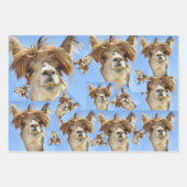 Bad Hair Day Geschenkpapier Set (Vorderseite 3)