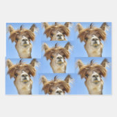 Bad Hair Day Geschenkpapier Set (Vorderseite 2)