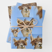 Bad Hair Day Geschenkpapier Set (Beispiel)