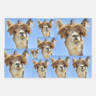 Bad Hair Day Geschenkpapier Set