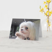 Bad Hair Day Karte (Gelbe Blume)