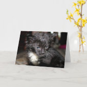 Bad Hair Day Karte (Gelbe Blume)