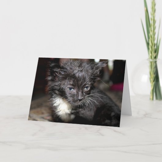 Bad Hair Day Karte (Vorderseite)