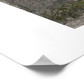 Bad hair Day Poster (Ecke)