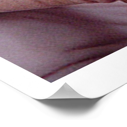 "Bad Hair Day" Poster (Ecke)