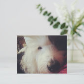 Bad Hair Day! Postkarte (Stehend Vorderseite)