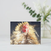 Bad Hair Day Postkarte (Stehend Vorderseite)