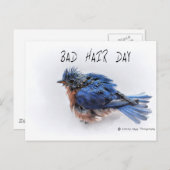 Bad Hair Day Postkarte (Vorne/Hinten)