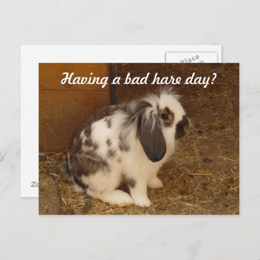 Bad Hare Day Postcard Postkarte (Vorne/Hinten)