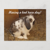 Bad Hare Day Postcard Postkarte (Vorderseite)