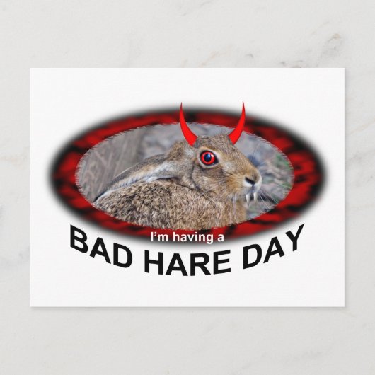 Bad Hare Day Postcard Postkarte (Vorderseite)