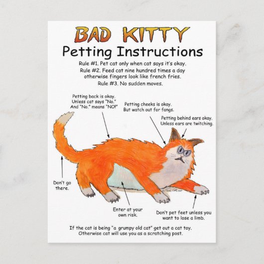 Bad Kitty Petty Anleitung Postkarte (Vorderseite)