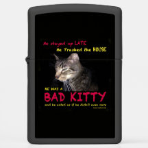 Bad Kitty Zippo Glanz