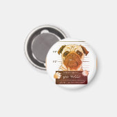 Bad Puggy Magnet (Vorderseite/Rückseite)