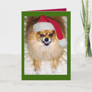 Bad Santa Weihnachtskarte Feiertagskarte