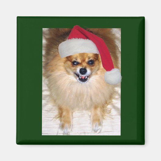 Bad Weihnachtsmagnet Magnet (Vorne)