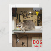 Badass Cat insgesamt Postkarte (Vorne/Hinten)
