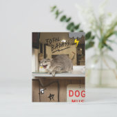 Badass Cat insgesamt Postkarte (Stehend Vorderseite)