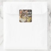 Badass Cats - "BITTE MICH!" Quadratischer Aufkleber (Tasche)