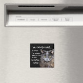 Badass Cats - "Ich bin nachtaktiv.." Magnet (In Situ (Geschirrspüler))