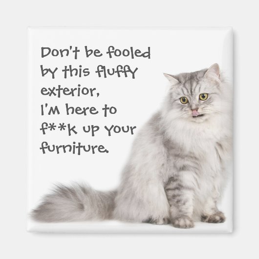 Badass Cats Magnet (Vorne)