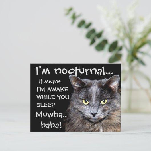 Badass Cats Postkarte (Stehend Vorderseite)