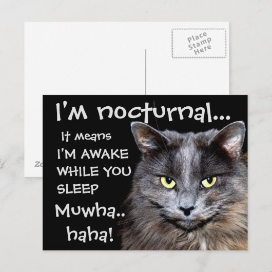 Badass Cats Postkarte (Vorne/Hinten)