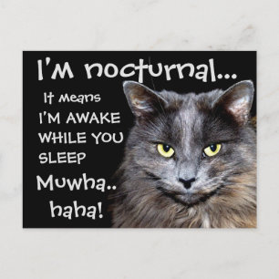 Badass Cats Postkarte