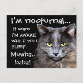 Badass Cats Postkarte (Vorderseite)