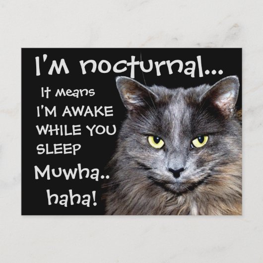 Badass Cats Postkarte (Vorderseite)