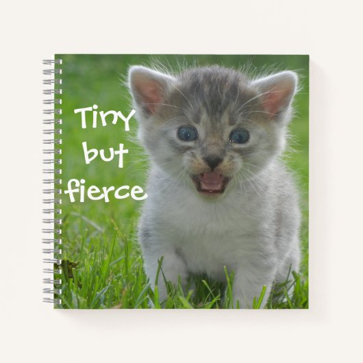 Badass Cats - "Tiny but Fierce" Kitten Notizblock (Vorderseite)