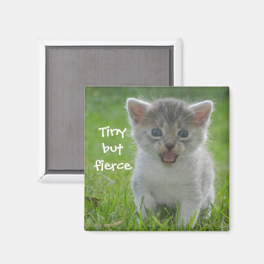 Badass Cats - "Tiny but Fierce" Magnet (Vorderseite/Rückseite)