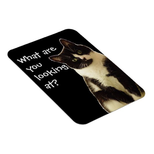 Badass Cats "Was schaust du dir an?" Magnet (Rechte Seite)