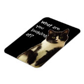 Badass Cats "Was schaust du dir an?" Magnet (Linke Seite)