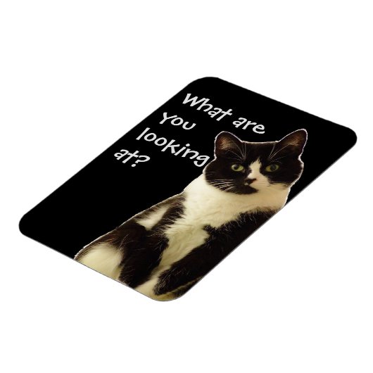 Badass Cats "Was schaust du dir an?" Magnet (Linke Seite)