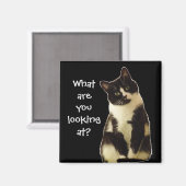 Badass Cats "Was schaust du dir an?" Magnet (Vorderseite/Rückseite)