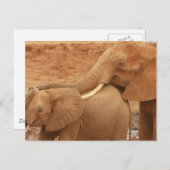 Bade Baby Elephant Postcard Postkarte (Vorne/Hinten)