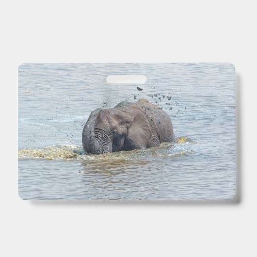 Bade-Elefant Ausweis (Vorderseite)