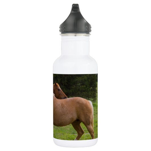 Badebekleidung Wasserflasche (Rechts)