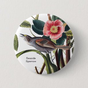 Badebucht, Audubon Birdwatcher Seeblick Button